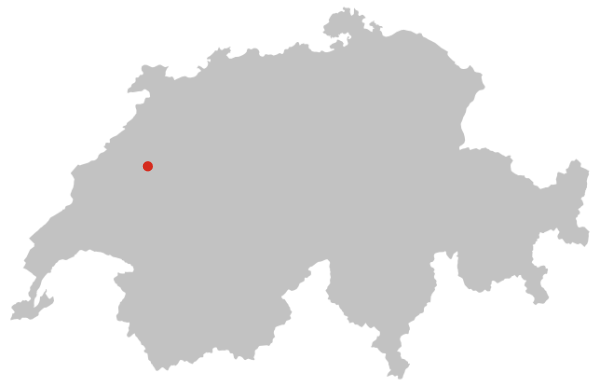 Karte mit der Position von Daltec AG